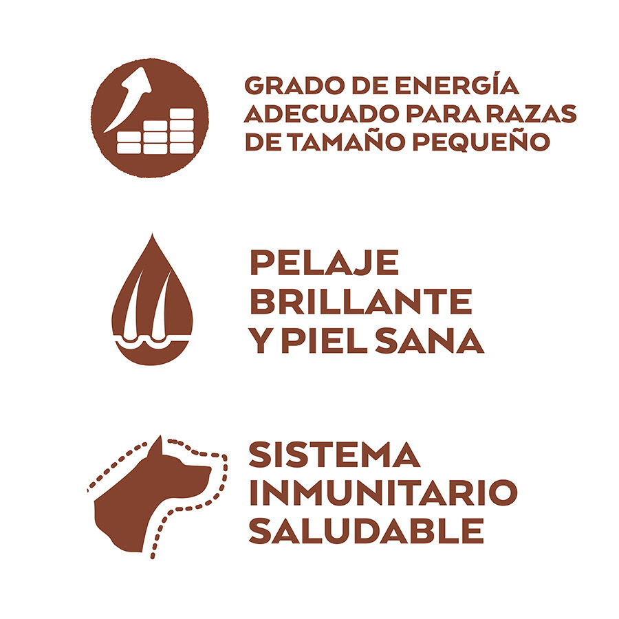 Nature's Variety Selected Mini Adult Salm&oacute;n Sin Cereales Imagen numero 2